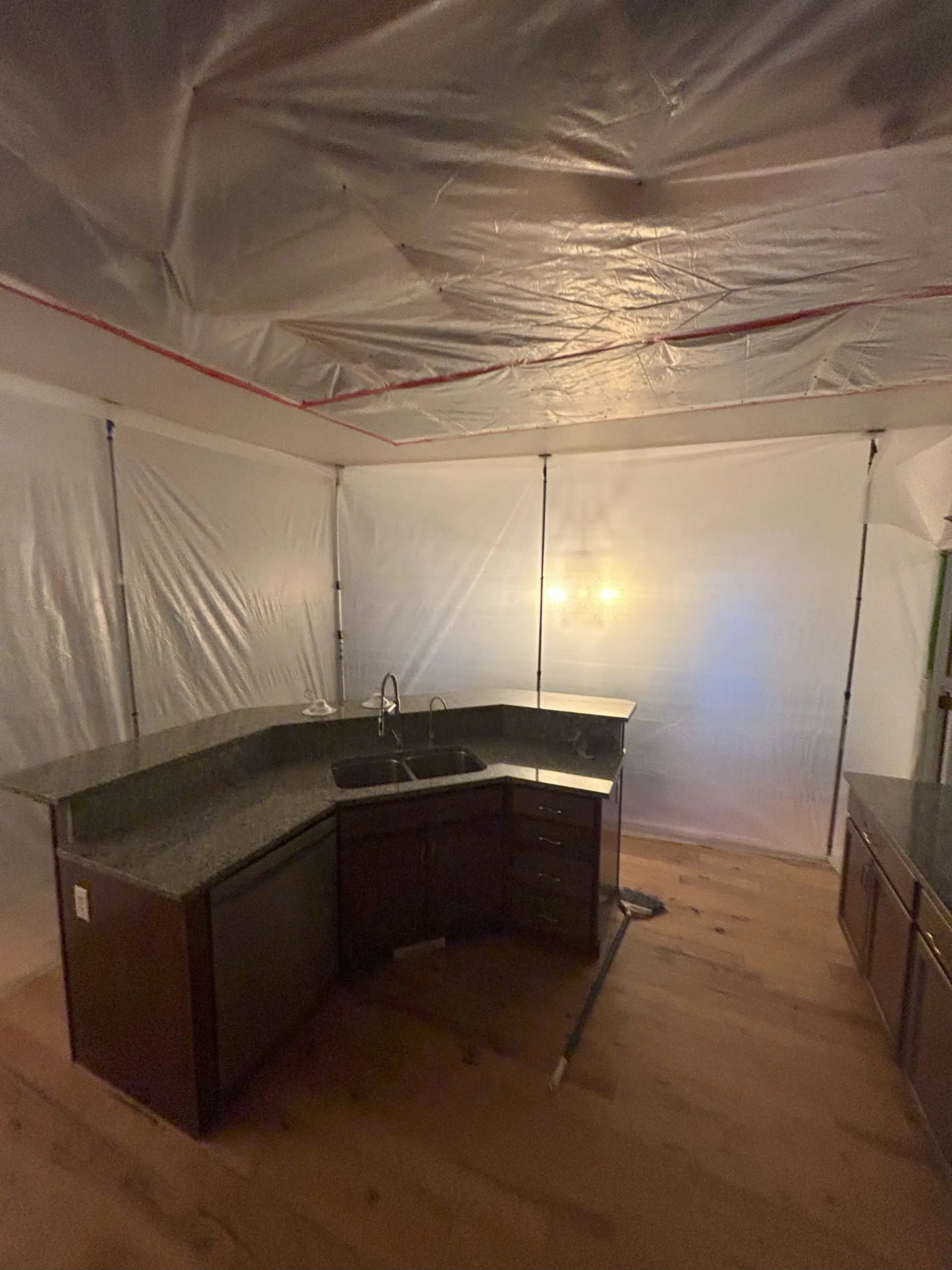Mold Remediation